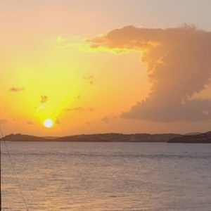 Profile photo of Yanaka Hoffman